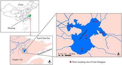 Pro- and eukaryotic keystone taxa as potential bio-indicators for the water quality of subtropical Lake Dongqian